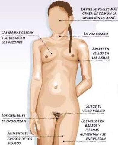 Pubertad en la mujer