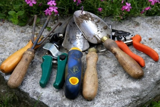 Primera Salida de Compra de MAteriales