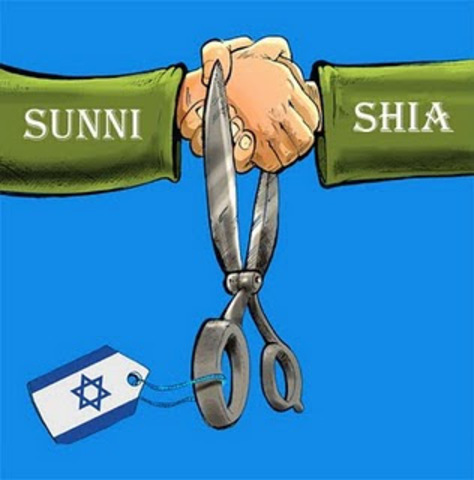 Sunni/Shia Split
