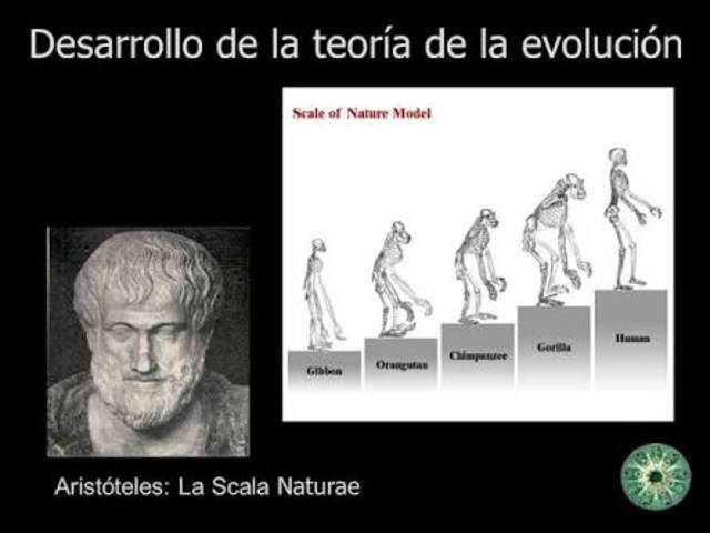 Teoria de Aristoteles (384 a 322 a.c )