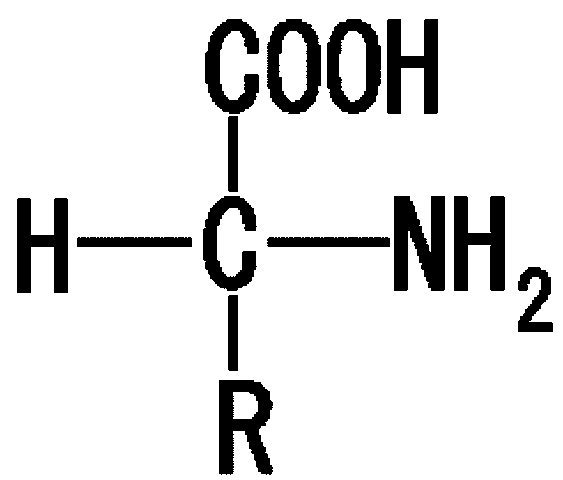 DESCOBRIMENT DELS AMINOÀCIDS