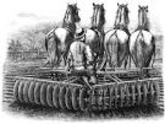 Consequences of the agriculture