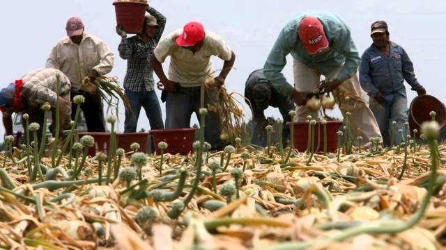 Immigration Reform and Control Act