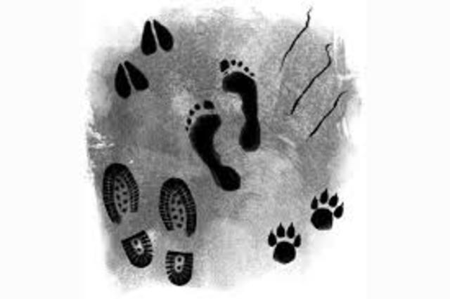 Holmes and Watson find foot prints and marks in the room where Bartholomew Sholto died