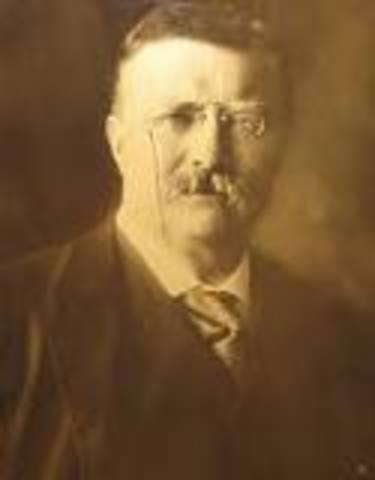 Theodore Roosevelt becomes president