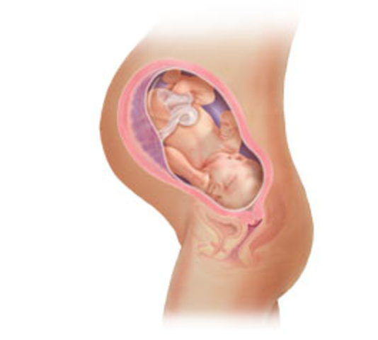 9° mes - nacimiento