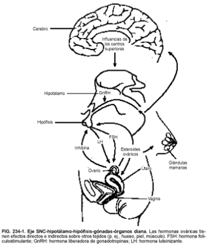 niños de 9 años (femenino)