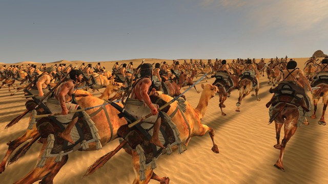 horses are used for transpirtation