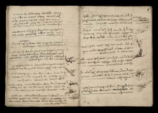 Writes "Codex on the Flight of Birds"