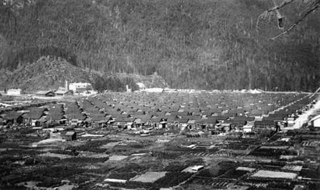 relocation to internment camps