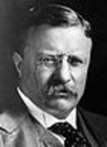 Big Stick Diplomacy, Theodore roosevelt