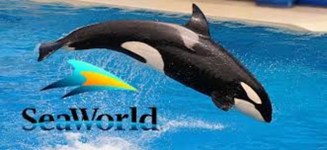 Seaworld