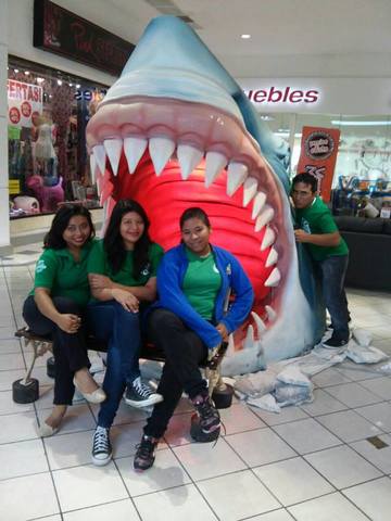 Conoci nuevos amigos