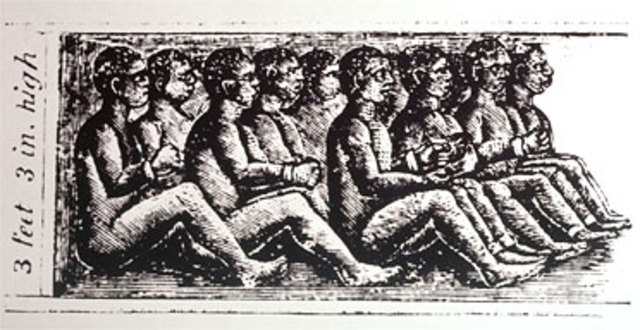 Congress of Importation of Slavery from Africa