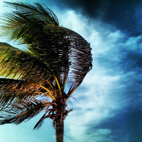 Descubri mi habilidad con las fotos