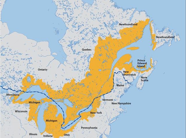 Au mois de juin 1759, lorsqu’elle remonte le fleuve Saint-Laurent, la flotte britannique s’étend sur sur une longue file de plus de 150 kilo-mètres.