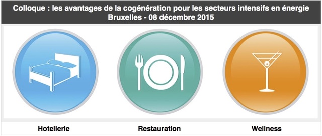 Colloque : cogénération pour les secteurs de l'horeca, du bien-être et de la restauration | Bruxelles - 08 décembre 2015