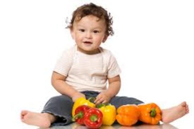 Toddler ( 1 & 2 year olds )