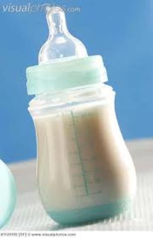 Infancy (Birth to 12 months)