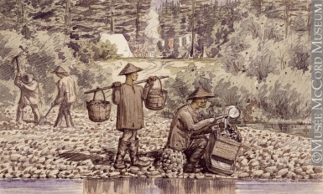 Gold is Discovered on the Fraser River - DE