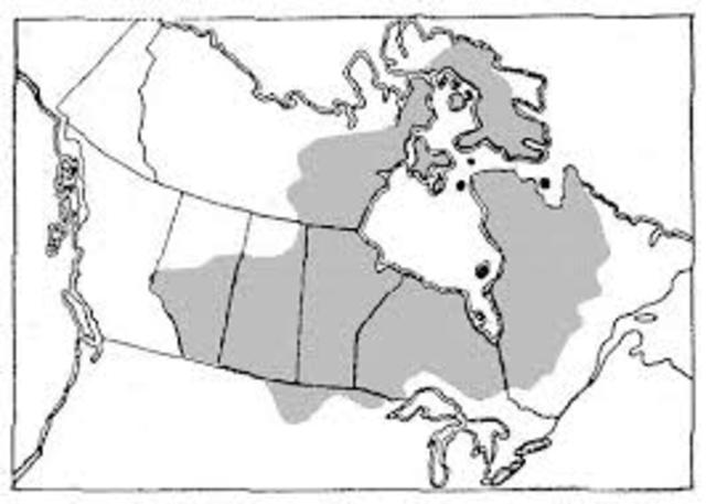 Parliament Buys Rupert's Land - DAT