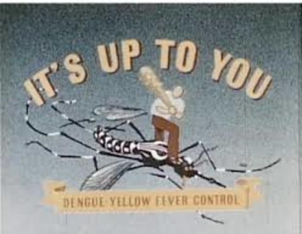 Dr. William Gorgas nearly wipes out yellow fever