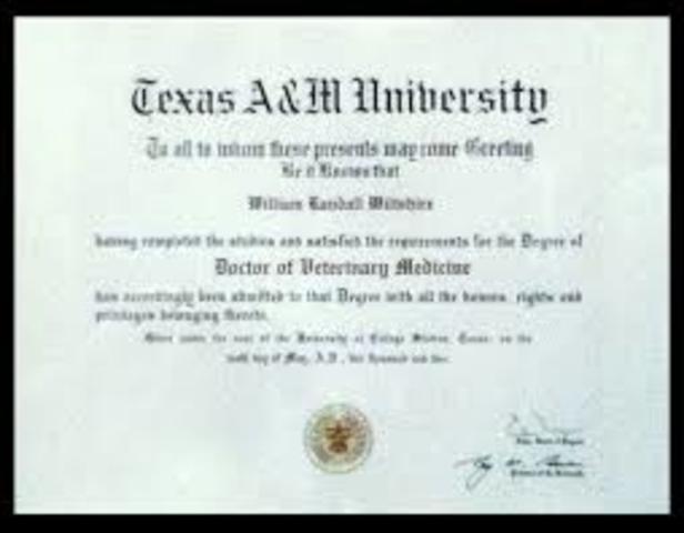 Finish Masters start VMD