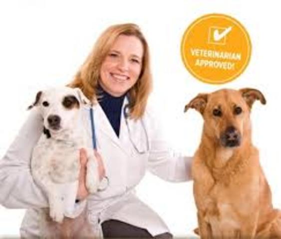 Finish Vet school!!!