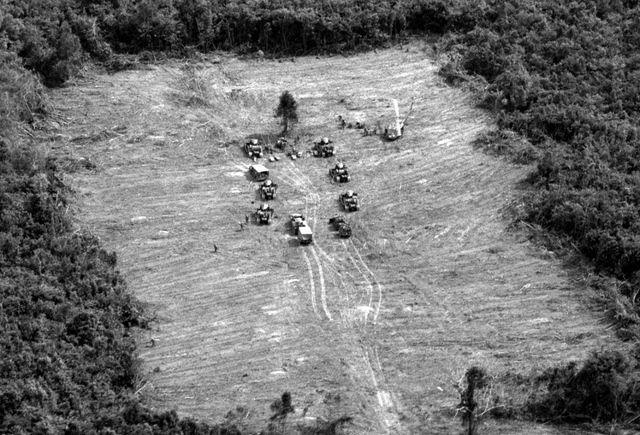 “Operation Cedar Falls”