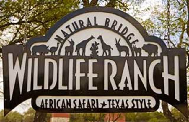 transfer to Natural BrIdge Caverns Wildlif Ranch