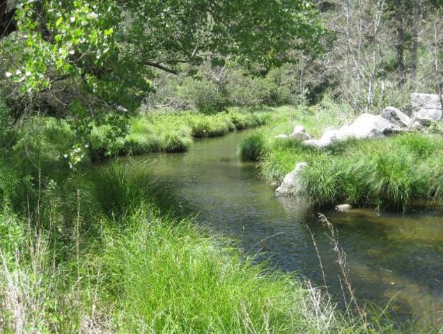 The duo camp out by the river for the night