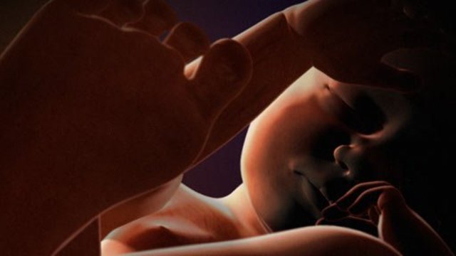 ETAPA FETAL (7° MES)