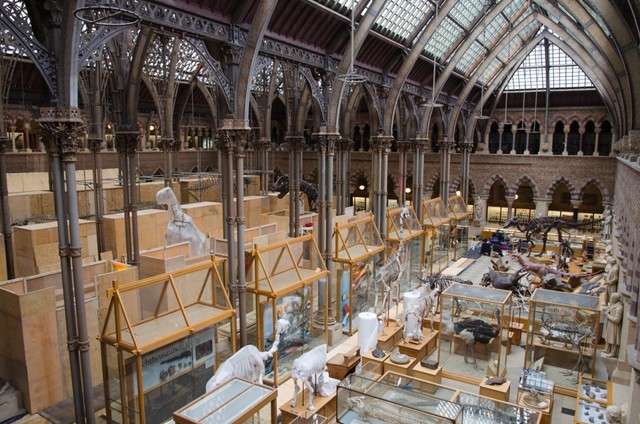 Oxford University Museum