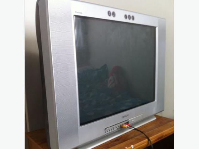 First Flat Screen