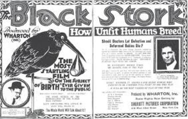 The Black Stork comes out