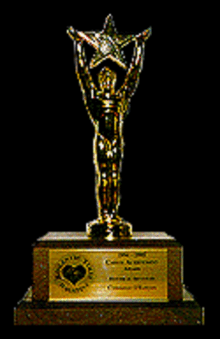 Award for Holt Medallion for Best First Book