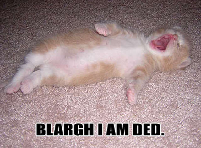 Galileo's Father Dies