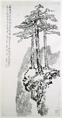 Stately Pines on Mount Hua