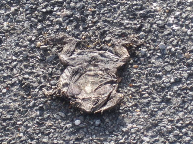 ... Un malheur arriva