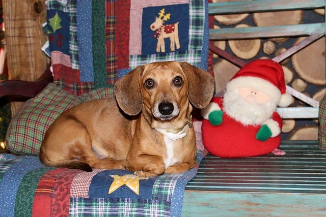 Hobo Al came into my life