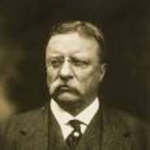 Theodore Roosevelt