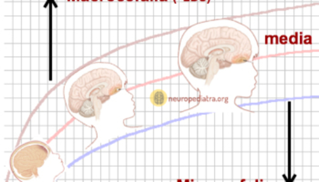 DESARROLLO PREESCOLAR (3 AÑOS)