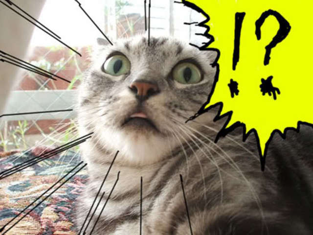 Chapter 6  (p.25 to  27)