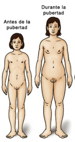 PUBERTAD (11 AÑOS)