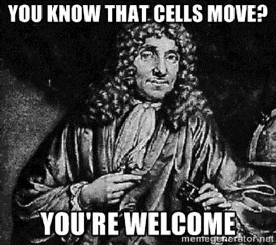 Anton Van Leeuwenhoek