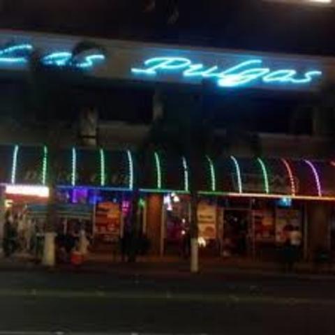 Nació Las Pulgas: El MEJOR LUGAR PARA BAILAR
