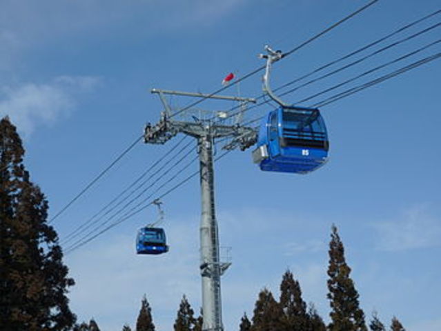 Invención del Tereférico