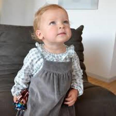 Intellectual Development