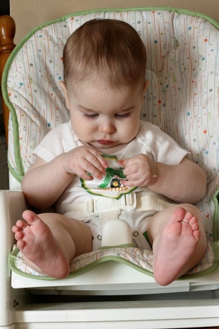 13-15 months physical development