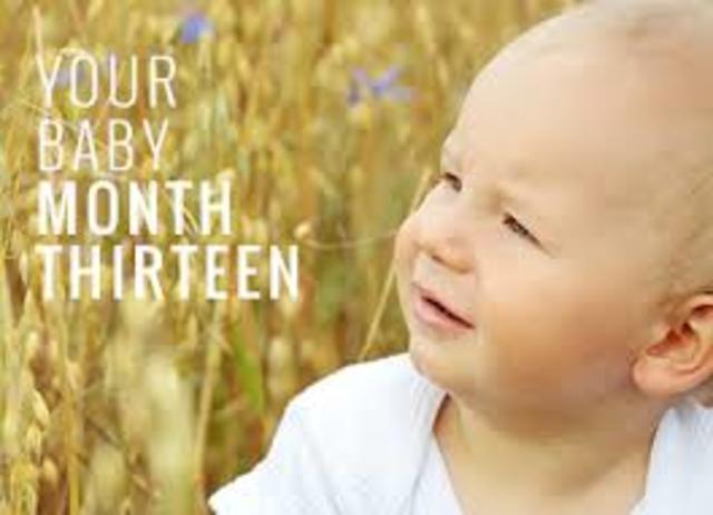 13-15 months old (COGNITIVE DEVELOPMENT)